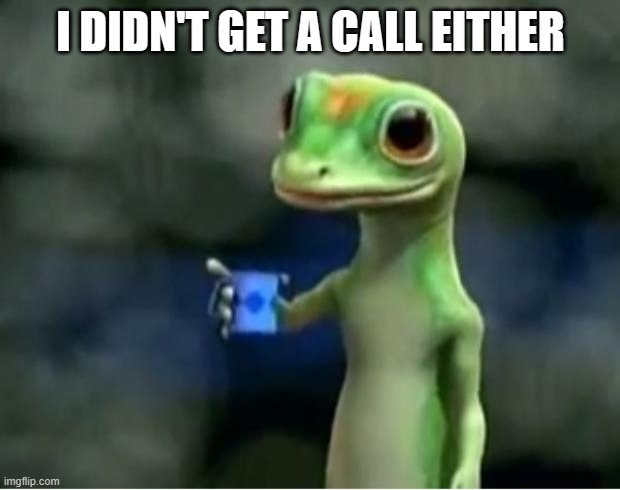 Geico Gecko | I DIDN'T GET A CALL EITHER | image tagged in geico gecko | made w/ Imgflip meme maker
