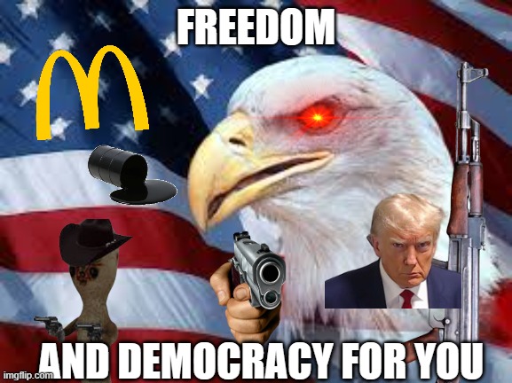 Bald eagle flag geopolitics oil lithium cobalt freedom need reso | FREEDOM AND DEMOCRACY FOR YOU | image tagged in bald eagle flag geopolitics oil lithium cobalt freedom need reso | made w/ Imgflip meme maker