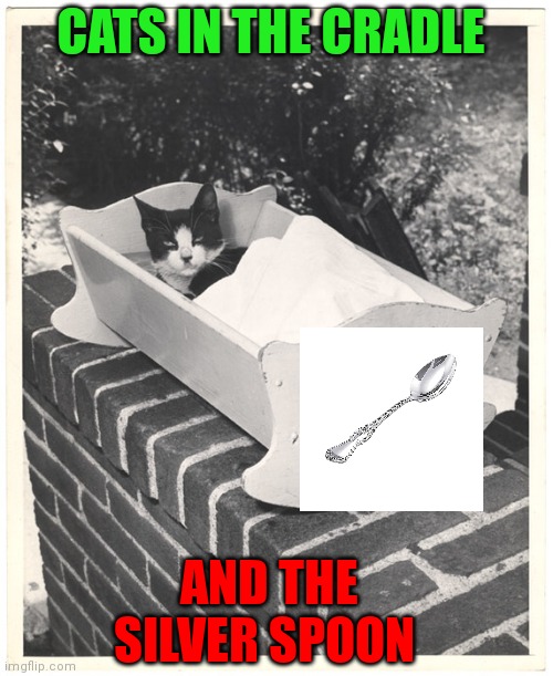 Cats in the Cradle | CATS IN THE CRADLE; AND THE SILVER SPOON | image tagged in funny memes | made w/ Imgflip meme maker