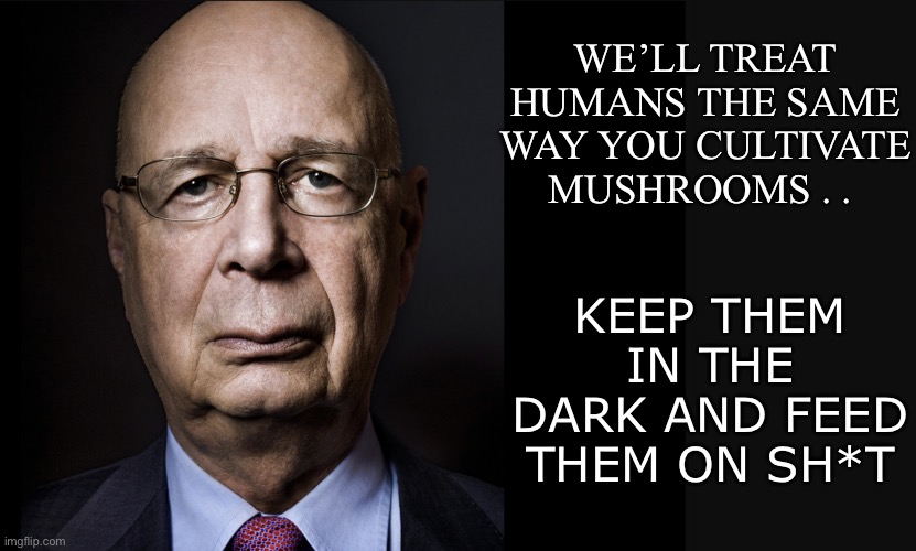 Klaus Schwab | WE’LL TREAT HUMANS THE SAME WAY YOU CULTIVATE MUSHROOMS . . KEEP THEM IN THE DARK AND FEED THEM ON SH*T | image tagged in klaus schwab | made w/ Imgflip meme maker