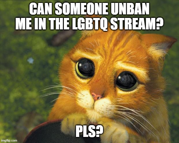 ahhhhhhhhhhhhhhhhhhhhh | CAN SOMEONE UNBAN ME IN THE LGBTQ STREAM? PLS? | image tagged in puss in boots | made w/ Imgflip meme maker