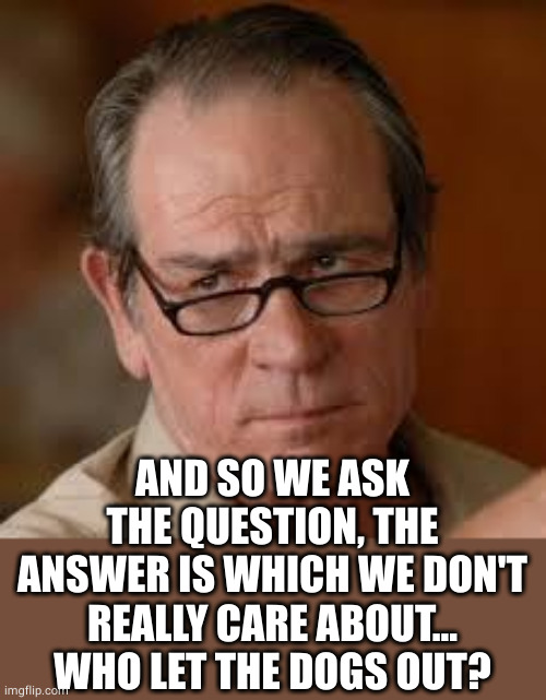 my face when someone asks a stupid question | AND SO WE ASK THE QUESTION, THE ANSWER IS WHICH WE DON'T REALLY CARE ABOUT...
WHO LET THE DOGS OUT? | image tagged in my face when someone asks a stupid question | made w/ Imgflip meme maker