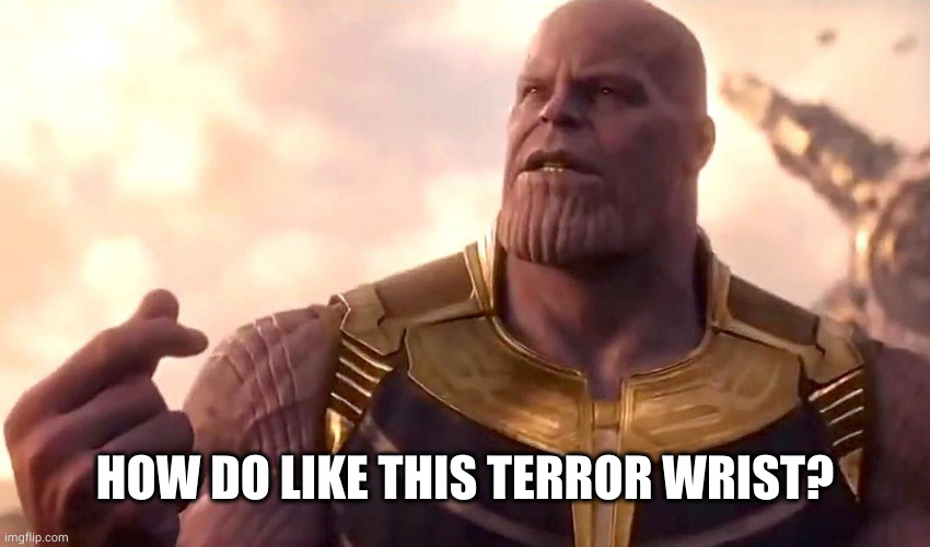 thanos snap | HOW DO LIKE THIS TERROR WRIST? | image tagged in thanos snap | made w/ Imgflip meme maker