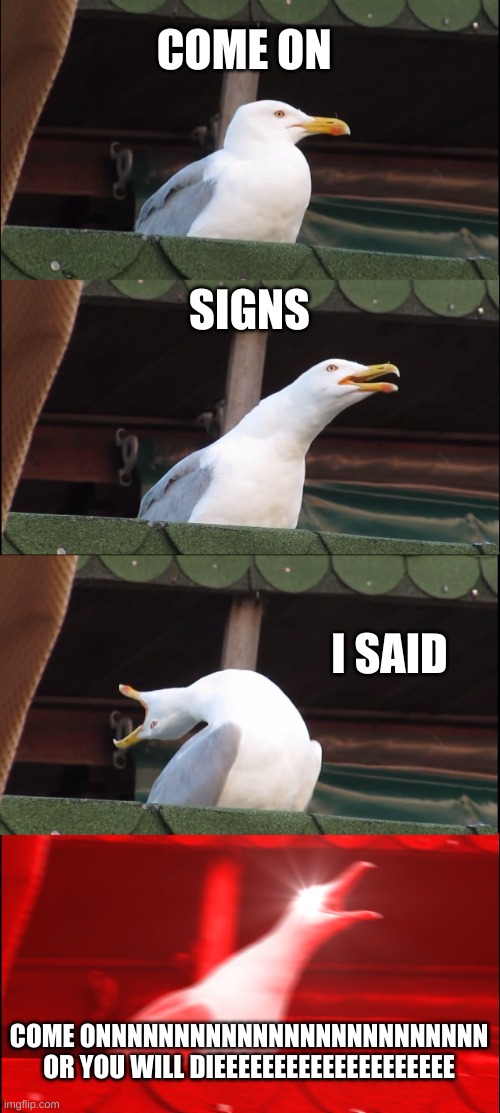 Inhaling Seagull Meme | COME ON; SIGNS; I SAID; COME ONNNNNNNNNNNNNNNNNNNNNNNNN OR YOU WILL DIEEEEEEEEEEEEEEEEEEEE | image tagged in memes,inhaling seagull | made w/ Imgflip meme maker