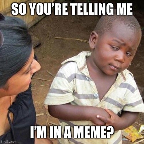 Low effort meme | SO YOU’RE TELLING ME; I’M IN A MEME? | image tagged in memes,third world skeptical kid | made w/ Imgflip meme maker