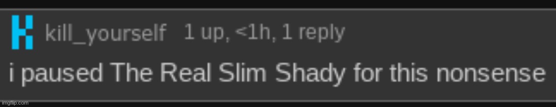 image tagged in i paused the real slim shady for this nonsense | made w/ Imgflip meme maker