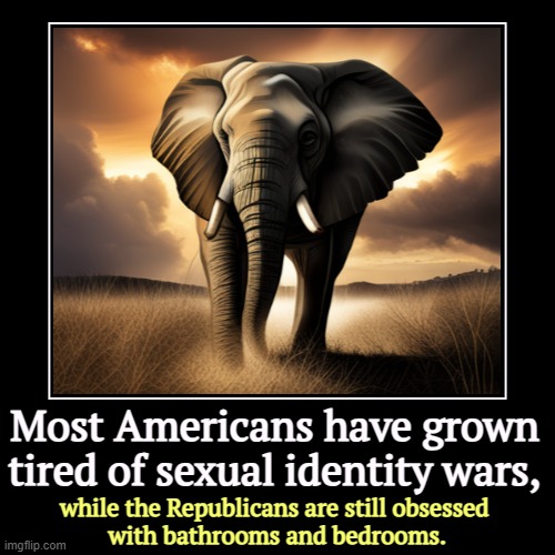 Most Americans have grown tired of sexual identity wars, | while the Republicans are still obsessed 
with bathrooms and bedrooms. | image tagged in funny,demotivationals,culture,wars,gender identity,boring | made w/ Imgflip demotivational maker