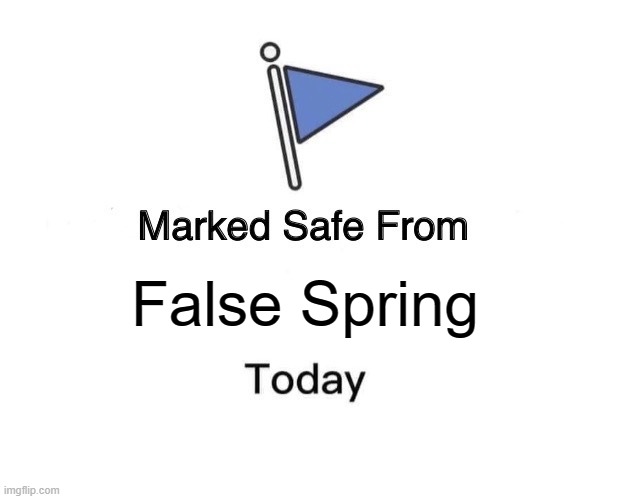 False Spring | False Spring | image tagged in memes,marked safe from,weather jokes,puns,satire | made w/ Imgflip meme maker