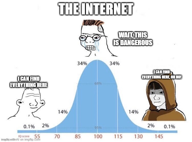 bell curve | THE INTERNET; WAIT, THIS IS DANGEROUS; I CAN FIND EVERYTHING HERE, OH NO! I CAN FIND EVERYTHING HERE | image tagged in bell curve | made w/ Imgflip meme maker