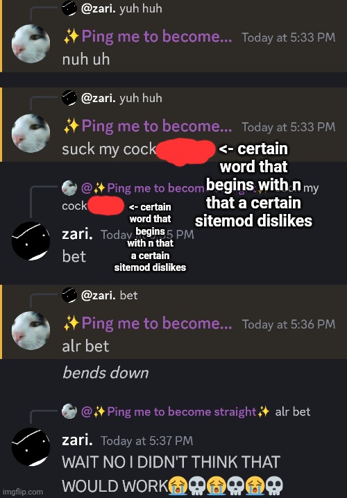 normal discord chat (cancel culture simulator) | <- certain word that begins with n that a certain sitemod dislikes; <- certain word that begins with n that a certain sitemod dislikes | made w/ Imgflip meme maker