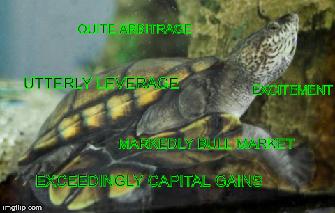 EXCITEMENT QUITE ARBITRAGE EXCEEDINGLY CAPITAL GAINS UTTERLY LEVERAGE MARKEDLY BULL MARKET | image tagged in memes,turtle,finance,economics,market,bitcoin | made w/ Imgflip meme maker