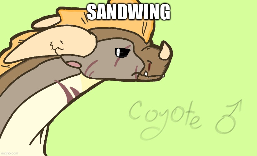 comment what i should do next :) | SANDWING | image tagged in wings of fire,artwork | made w/ Imgflip meme maker
