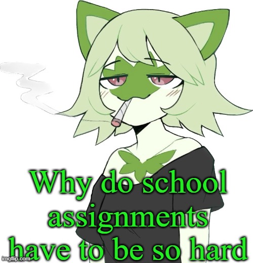 weed cat | Why do school assignments have to be so hard | image tagged in weed cat | made w/ Imgflip meme maker