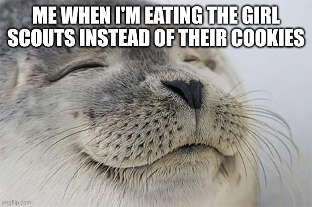 Hehe | ME WHEN I'M EATING THE GIRL SCOUTS INSTEAD OF THEIR COOKIES | image tagged in memes,satisfied seal | made w/ Imgflip meme maker