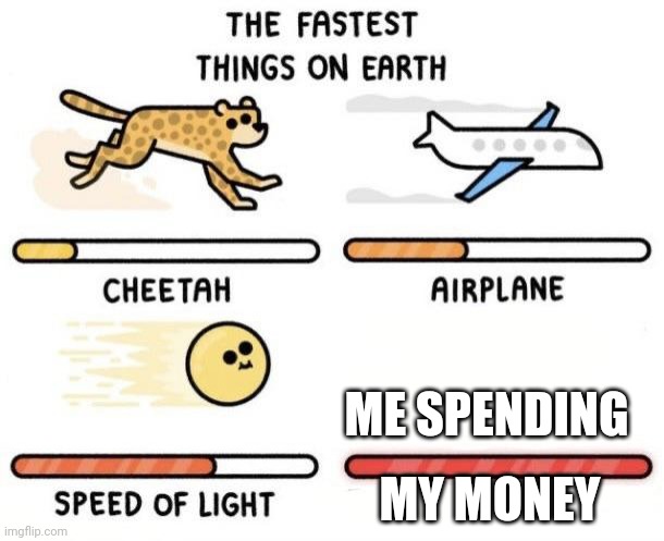 The fastest things on earth: cheetah, airplane, speed of light, | ME SPENDING; MY MONEY | image tagged in the fastest things on earth cheetah airplane speed of light | made w/ Imgflip meme maker
