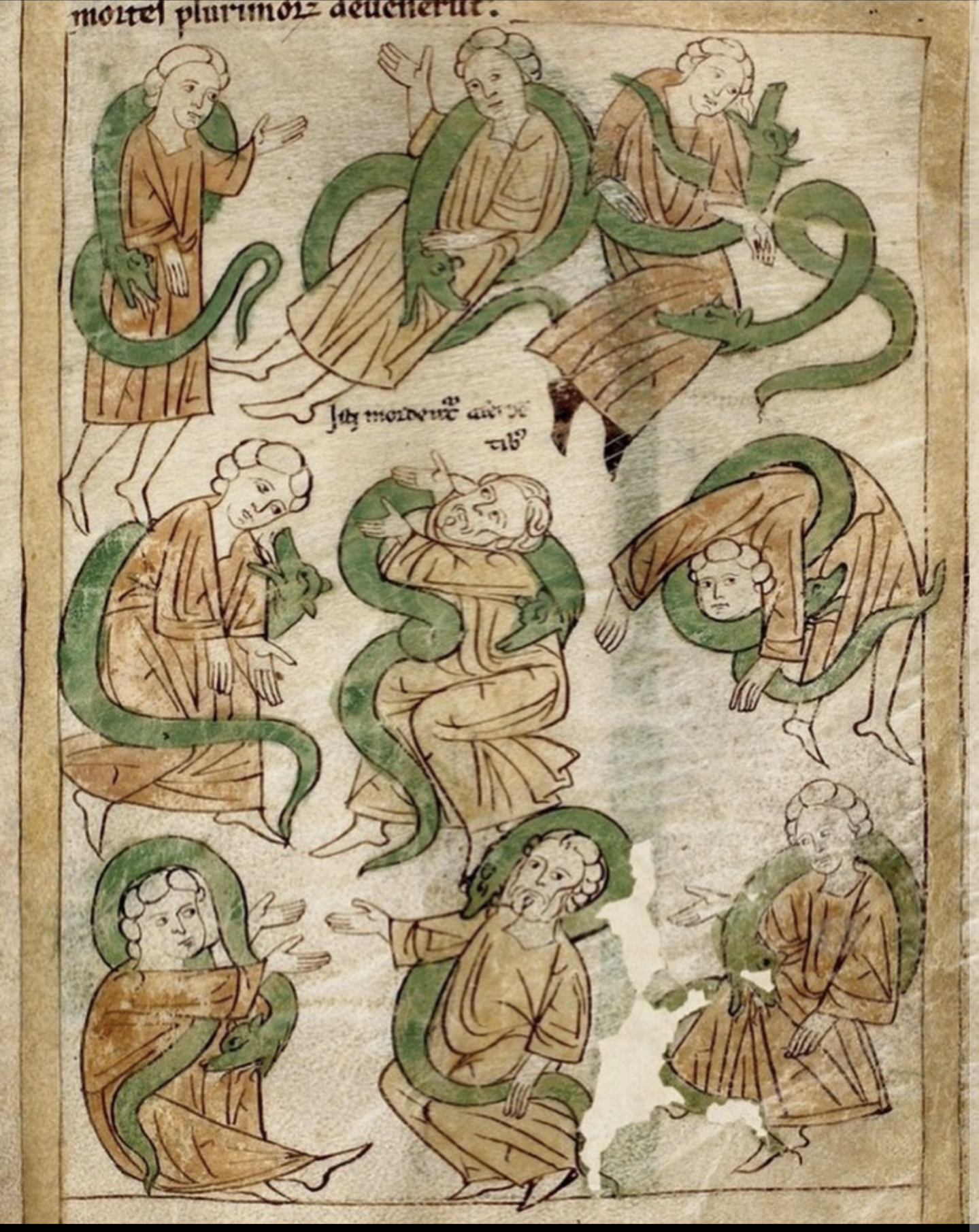 Medieval Spanish Snakes - Alignment Blank Meme Template