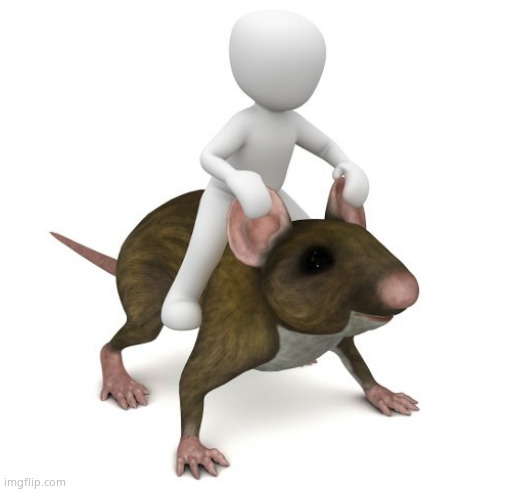 rat jockey | image tagged in rat jockey | made w/ Imgflip meme maker