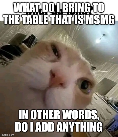 Rager inspiration | WHAT DO I BRING TO THE TABLE THAT IS MSMG; IN OTHER WORDS, DO I ADD ANYTHING | image tagged in what da tuna | made w/ Imgflip meme maker