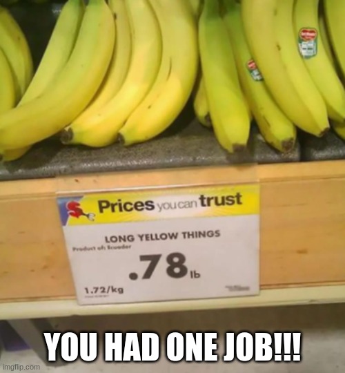 thing | YOU HAD ONE JOB!!! | image tagged in thing | made w/ Imgflip meme maker