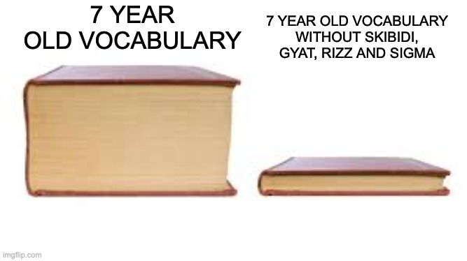 literally the dumbest words ever | 7 YEAR OLD VOCABULARY WITHOUT SKIBIDI, GYAT, RIZZ AND SIGMA; 7 YEAR OLD VOCABULARY | image tagged in big book small book,children,cringe | made w/ Imgflip meme maker