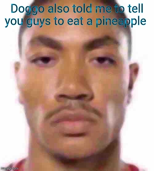 Lmao | Doggo also told me to tell you guys to eat a pineapple | image tagged in lmao | made w/ Imgflip meme maker