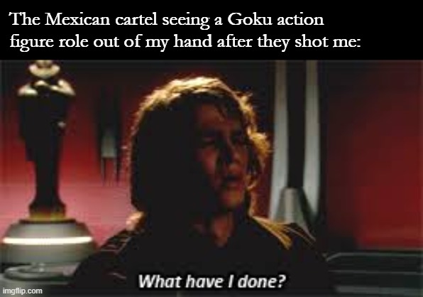 What Have I done? | The Mexican cartel seeing a Goku action figure role out of my hand after they shot me: | image tagged in what have i done | made w/ Imgflip meme maker