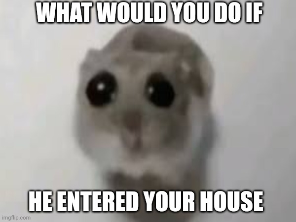 WHAT WOULD YOU DO IF; HE ENTERED YOUR HOUSE | made w/ Imgflip meme maker