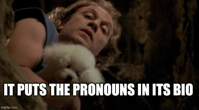 Basket of pronouns | IT PUTS THE PRONOUNS IN ITS BIO | image tagged in buffalo bill - it puts the lotion on it's skin or else it gets | made w/ Imgflip meme maker