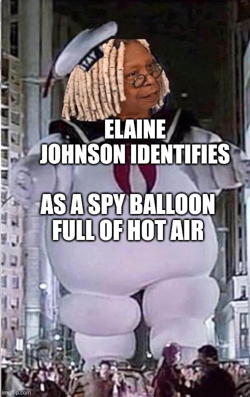Whoopie | ELAINE JOHNSON IDENTIFIES; AS A SPY BALLOON FULL OF HOT AIR | image tagged in whoopie | made w/ Imgflip meme maker
