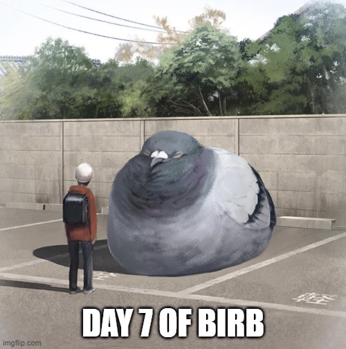 late again, i know | DAY 7 OF BIRB | image tagged in beeg birb | made w/ Imgflip meme maker
