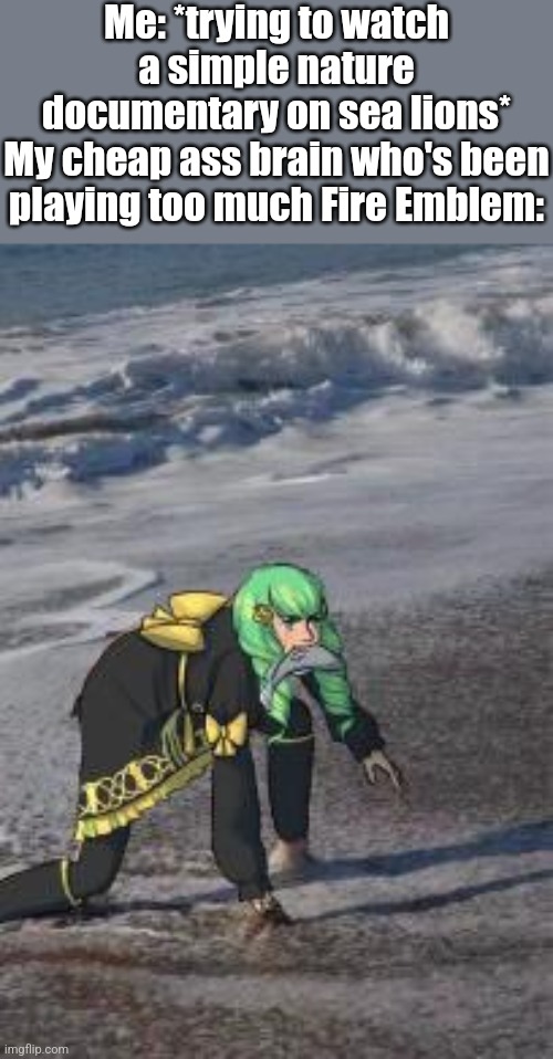 I have made mistakes if it means that Lorenz ends up with.. I can't imagine it without hurking | Me: *trying to watch a simple nature documentary on sea lions*
My cheap ass brain who's been playing too much Fire Emblem: | image tagged in mistakes,fire emblem,brain | made w/ Imgflip meme maker