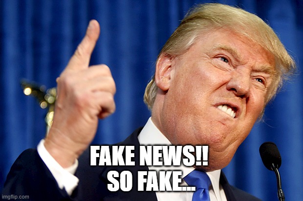 Fake News! | FAKE NEWS!! 
SO FAKE... | image tagged in donald trump,fake news | made w/ Imgflip meme maker
