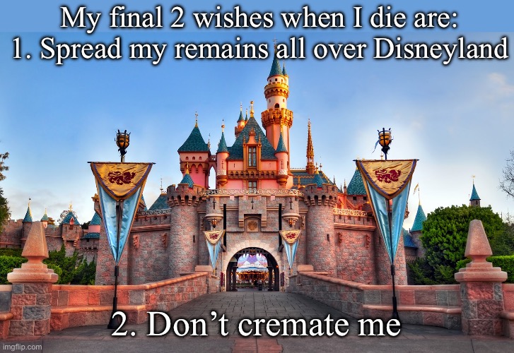 Final wishes | My final 2 wishes when I die are:
1. Spread my remains all over Disneyland; 2. Don’t cremate me | image tagged in disneyland,wishes,die,funeral | made w/ Imgflip meme maker