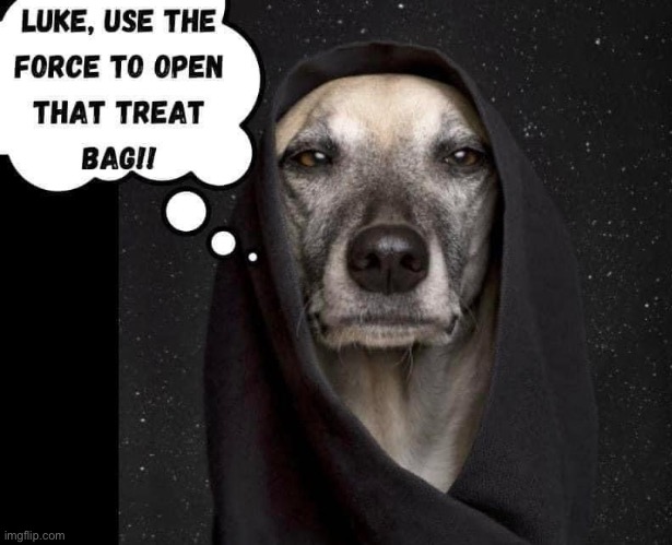 Use the Force | image tagged in the force,luke,dog | made w/ Imgflip meme maker