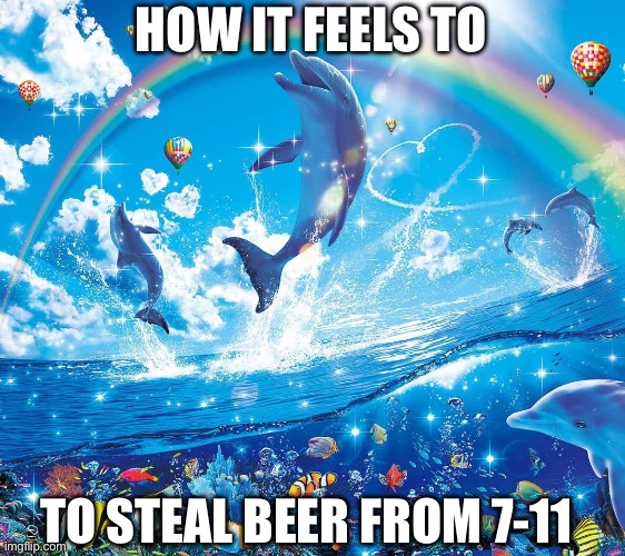 Stealing beer | HOW IT FEELS TO; TO STEAL BEER FROM 7-11 | image tagged in beer,memes,dolphin,stealing,theft,heroin | made w/ Imgflip meme maker