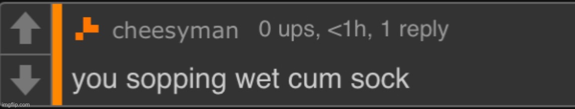 you sopping wet cum sock | image tagged in you sopping wet cum sock | made w/ Imgflip meme maker