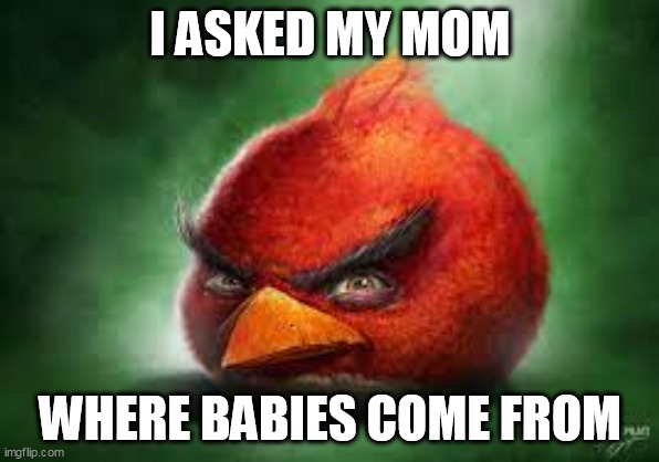 Realistic Red Angry Birds | I ASKED MY MOM; WHERE BABIES COME FROM | image tagged in realistic red angry birds | made w/ Imgflip meme maker