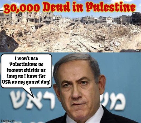 30,000 dead | 30,000 Dead in Palestine; I won't use Palestinians as human shields as long as I have the USA as my guard dog! | image tagged in palestine,trump netanyahu putin,antichrists 3,ww3,armageddon,genocide | made w/ Imgflip meme maker