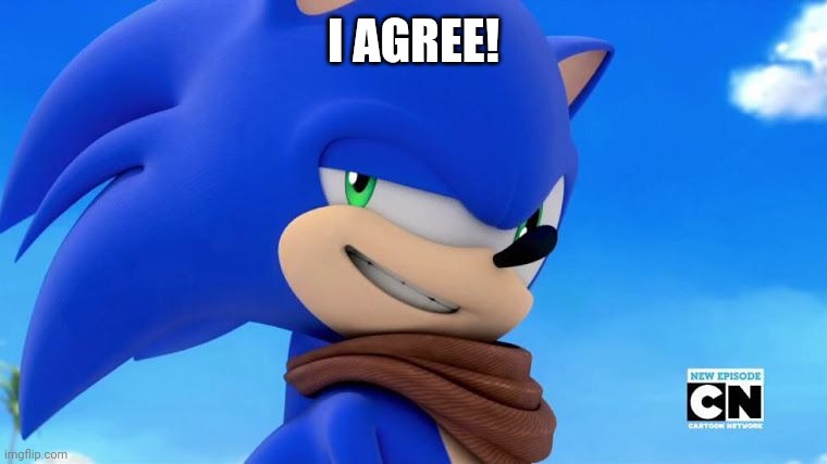 Sonic Meme | I AGREE! | image tagged in sonic meme | made w/ Imgflip meme maker