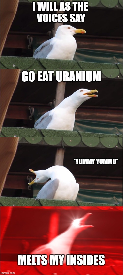 Inhaling Seagull | I WILL AS THE 
VOICES SAY; GO EAT URANIUM; *YUMMY YUMMU*; MELTS MY INSIDES | image tagged in memes,inhaling seagull | made w/ Imgflip meme maker