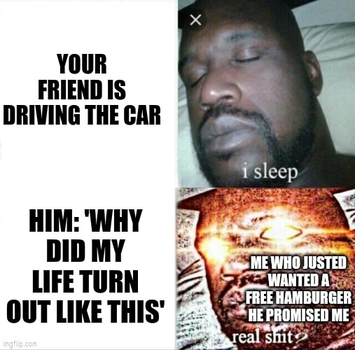 Free offerings must be left unheard | YOUR FRIEND IS DRIVING THE CAR; HIM: 'WHY DID MY LIFE TURN OUT LIKE THIS'; ME WHO JUSTED WANTED A FREE HAMBURGER HE PROMISED ME | image tagged in memes,sleeping shaq | made w/ Imgflip meme maker