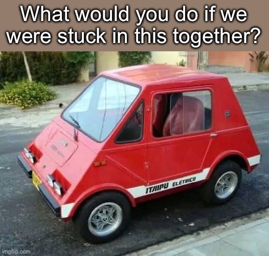 Stuck in this | What would you do if we were stuck in this together? | image tagged in what would you do,stuck | made w/ Imgflip meme maker