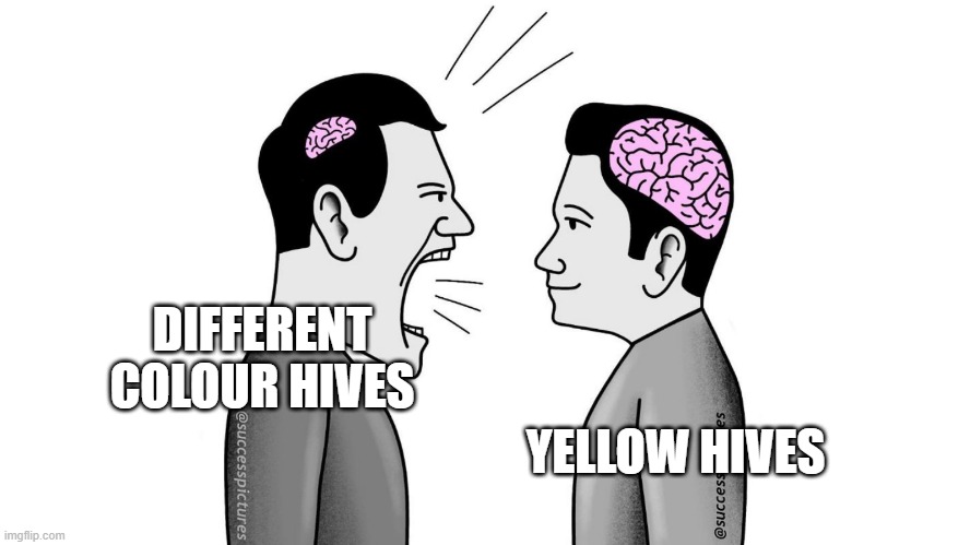 small brain yelling at big brain | DIFFERENT COLOUR HIVES YELLOW HIVES | image tagged in small brain yelling at big brain | made w/ Imgflip meme maker