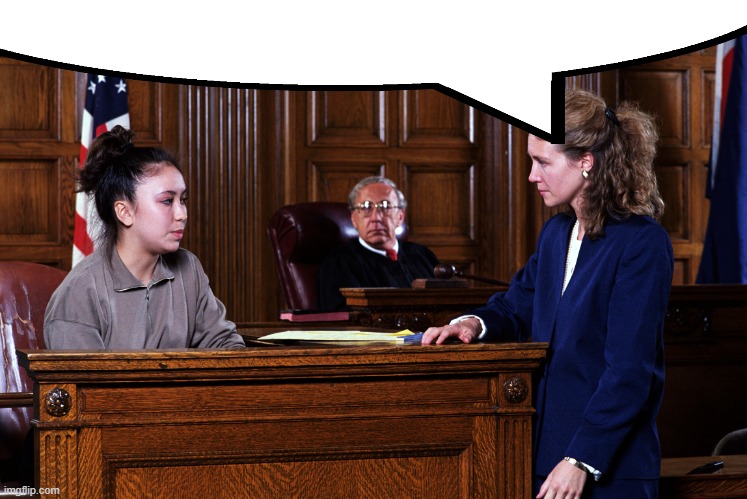 Courtroom | image tagged in courtroom | made w/ Imgflip meme maker