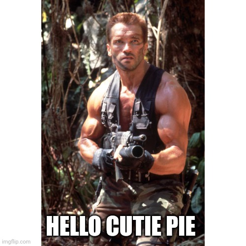 Hello Cutie Pie | HELLO CUTIE PIE | image tagged in arnold schwarzenegger predator | made w/ Imgflip meme maker