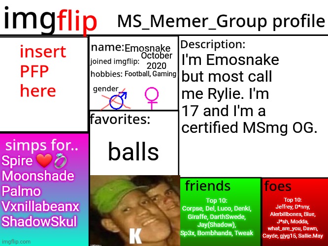 MSMG Profile | Emosnake; October 2020; I'm Emosnake but most call me Rylie. I'm 17 and I'm a certified MSmg OG. Football, Gaming; balls; Spire ❤️💍 
Moonshade
Palmo
Vxnillabeanx
ShadowSkul; Top 10:
Jeffrey, D*nny, Alerbillbones, Blue, J*sh, Modda, what_are_you, Dawn, Cayde, gjyg15, Sallie.May; Top 10:
Corpse, Del, Luco, Denki, Giraffe, DarthSwede, Jay(Shadow), Sp3x, Bombhands, Tweak | image tagged in msmg profile | made w/ Imgflip meme maker