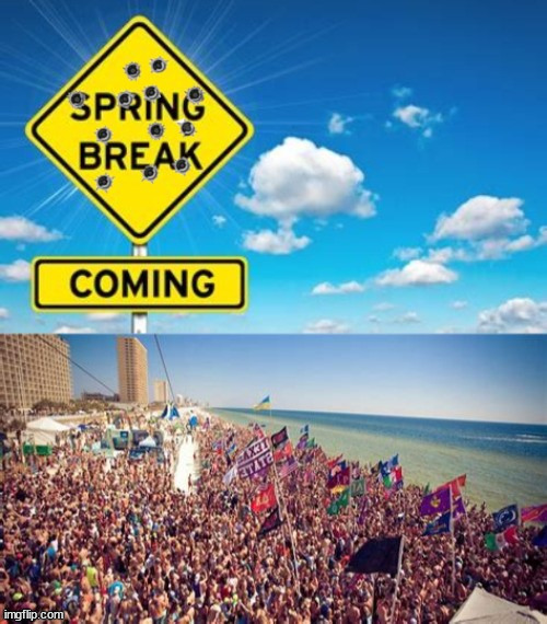 Spring Break! | image tagged in florida,guns,booze,beaches,mass shooting,maga massacre | made w/ Imgflip meme maker