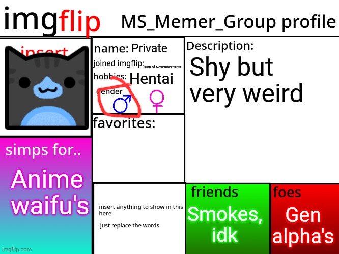 Hello | Private; Shy but very weird; 30th of November 2023; Hentai; Anime waifu's; Gen alpha's; Smokes, idk | image tagged in msmg profile | made w/ Imgflip meme maker