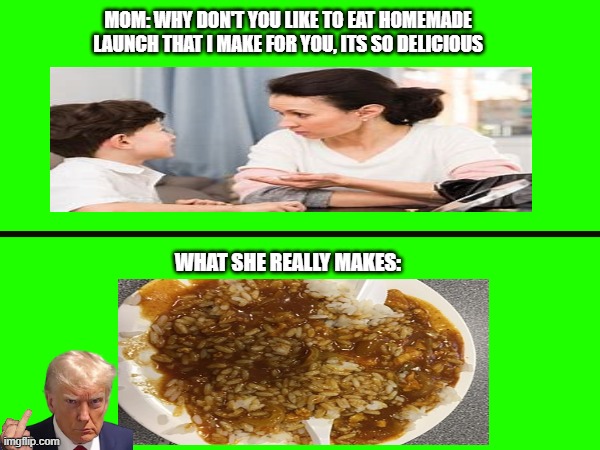 I need help | MOM: WHY DON'T YOU LIKE TO EAT HOMEMADE LAUNCH THAT I MAKE FOR YOU, ITS SO DELICIOUS; WHAT SHE REALLY MAKES: | image tagged in funny,funy memes,freedom,lunch,school,bruh moment | made w/ Imgflip meme maker