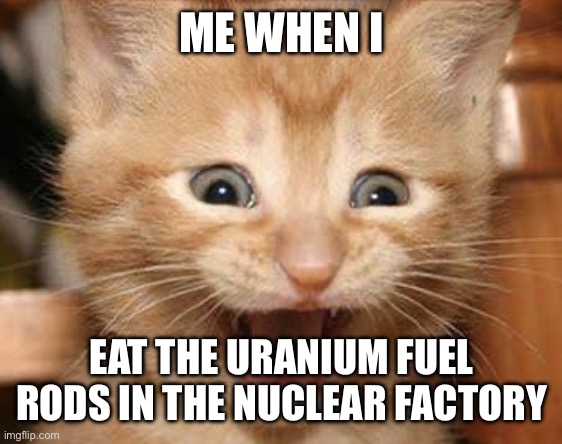 Excited Cat Meme | ME WHEN I; EAT THE URANIUM FUEL RODS IN THE NUCLEAR FACTORY | image tagged in memes,excited cat | made w/ Imgflip meme maker